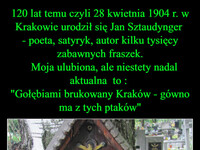 120 lat temu czyli 28 kwietnia 1904 r. w Krakowie urodził się Jan Sztaudynger 
- poeta, satyryk, autor kilku tysięcy zabawnych fraszek.
   Moja ulubiona, ale niestety nadal aktualna  to : 
"Gołębiami brukowany Kraków - gówno ma z tych ptaków" Jedną z ostatnich fraszek Sztaudyngera, napisanych przed śmiercią w 1970 roku, był Testament:   "Żyłem z wami, kochałem i cierpiałem z wami, Teraz żyjcie, kochajcie, cierpcie sobie sami".