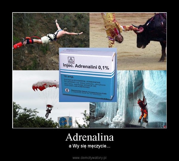 Adrenalina