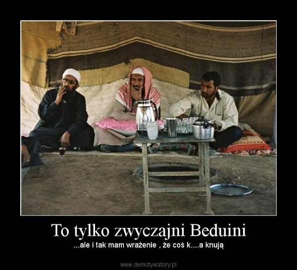 To tylko zwyczajni Beduini