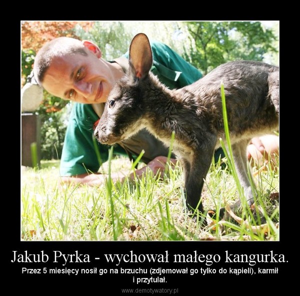 Jakub Pyrka - wychował małego kangurka.