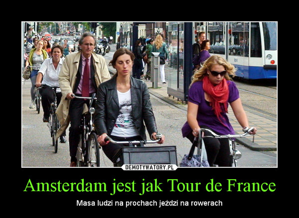 Amsterdam jest jak Tour de France – Masa ludzi na prochach jeździ na rowerach 