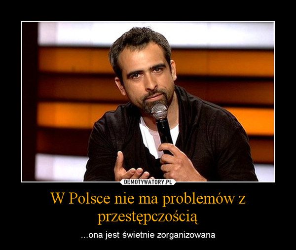 W Polsce nie ma problemów z przestępczością – ...ona jest świetnie zorganizowana 