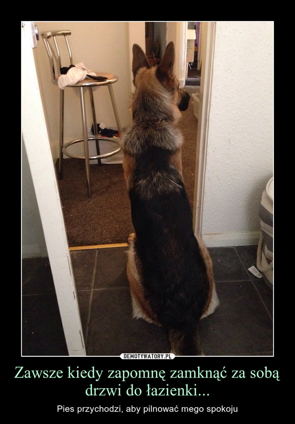 Zawsze kiedy zapomnę zamknąć za sobą drzwi do łazienki... – Pies przychodzi, aby pilnować mego spokoju 