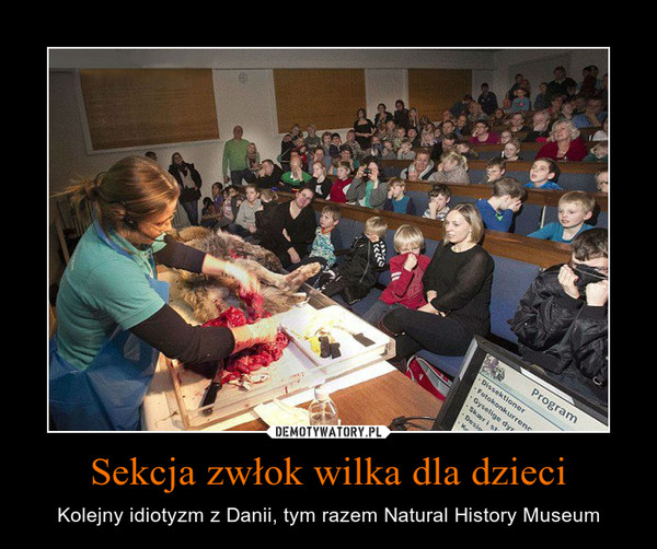 Sekcja zwłok wilka dla dzieci – Kolejny idiotyzm z Danii, tym razem Natural History Museum 