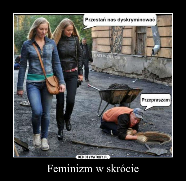 Feminizm w skrócie –  
