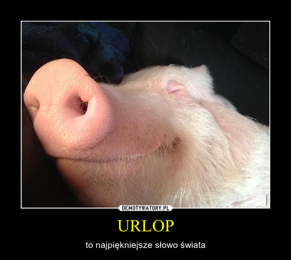URLOP – to najpiękniejsze słowo świata 