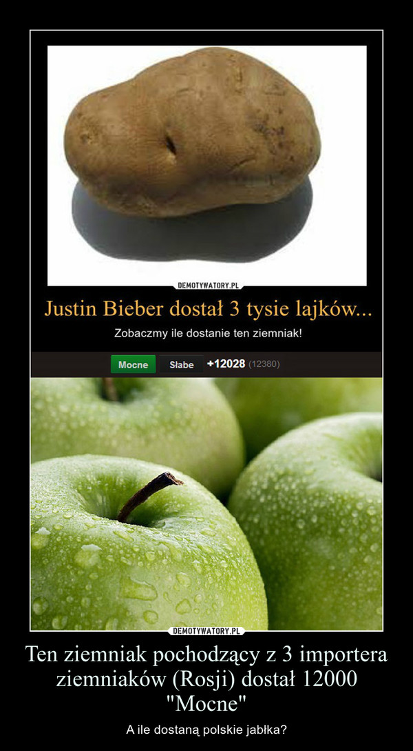 Ten ziemniak pochodzący z 3 importera ziemniaków (Rosji) dostał 12000 "Mocne" – A ile dostaną polskie jabłka? 