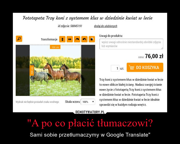 "A po co płacić tłumaczowi? – Sami sobie przetłumaczymy w Google Translate" 