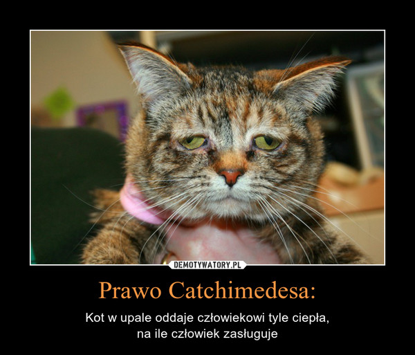 Prawo Catchimedesa: – Kot w upale oddaje człowiekowi tyle ciepła,na ile człowiek zasługuje 
