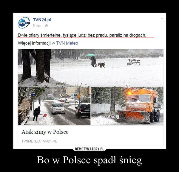 Bo w Polsce spadł śnieg –  