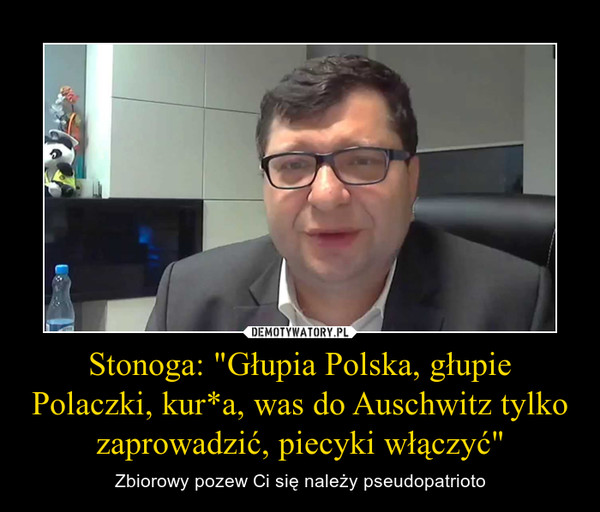 Stonoga: "Głupia Polska, głupie Polaczki, kur*a, was do Auschwitz tylko zaprowadzić, piecyki włączyć"