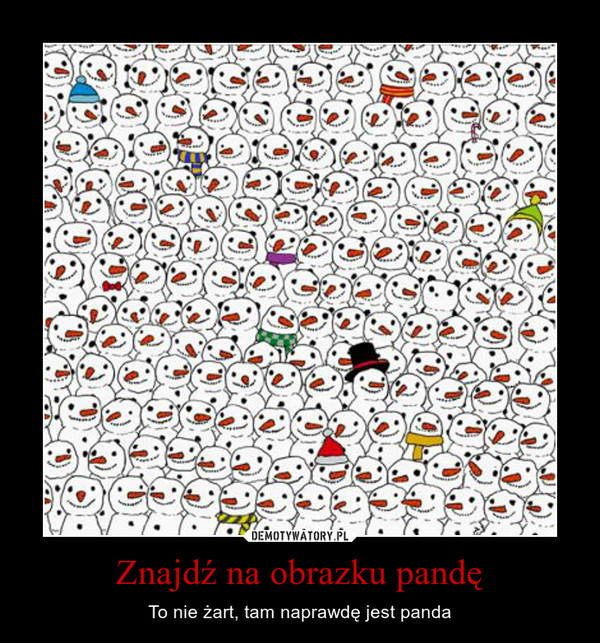 Znajdź na obrazku pandę