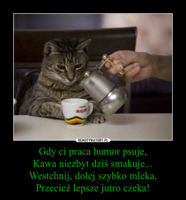 Gdy ci praca humor psuje,Kawa niezbyt dziś smakuje...Westchnij, dolej szybko mleka,Przecież lepsze jutro czeka! –  