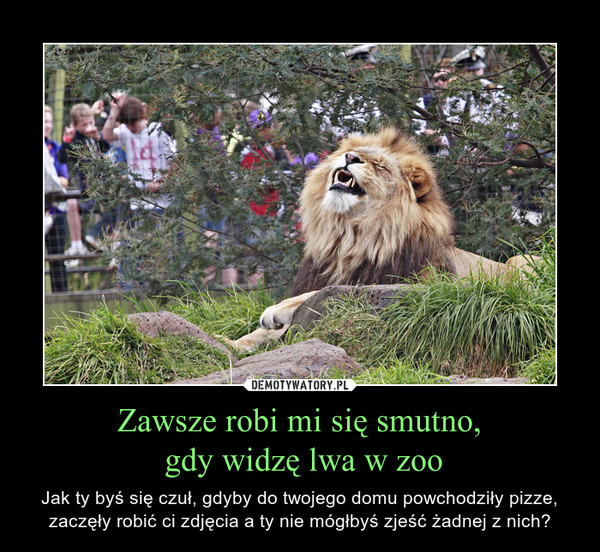 Zawsze robi mi się smutno, gdy widzę lwa w zoo – Jak ty byś się czuł, gdyby do twojego domu powchodziły pizze, zaczęły robić ci zdjęcia a ty nie mógłbyś zjeść żadnej z nich? 