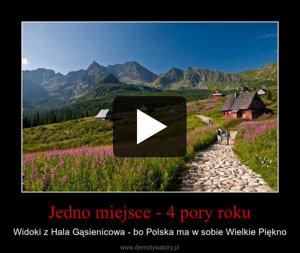 Jedno miejsce - 4 pory roku – Widoki z Hala Gąsienicowa - bo Polska ma w sobie Wielkie Piękno 