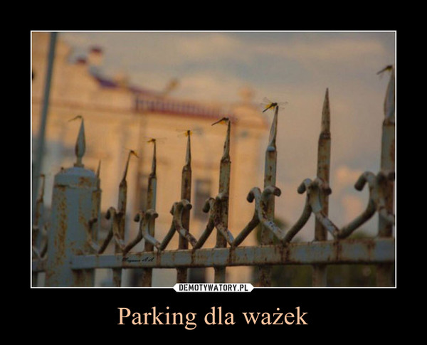 Parking dla ważek