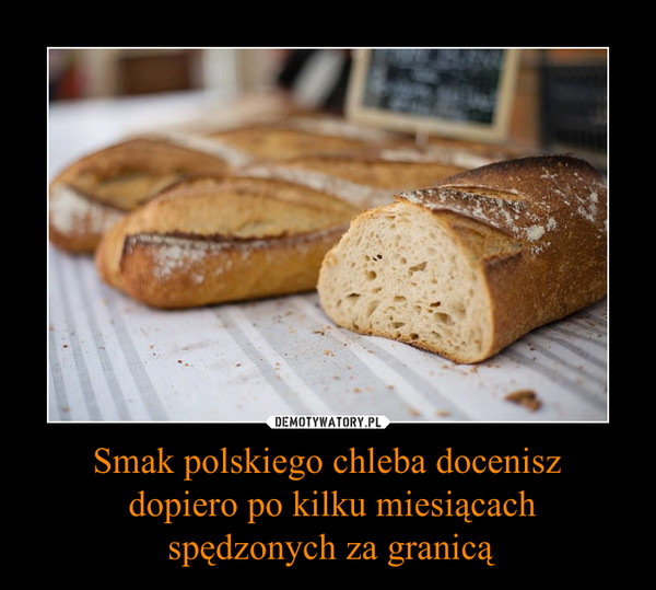 Smak polskiego chleba docenisz dopiero po kilku miesiącach spędzonych za granicą –  