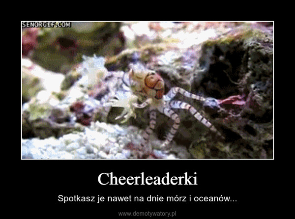 Cheerleaderki – Spotkasz je nawet na dnie mórz i oceanów... 