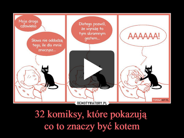 32 komiksy, które pokazują co to znaczy być kotem –  