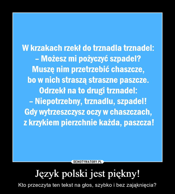Język polski jest piękny! – Kto przeczyta ten tekst na głos, szybko i bez zająknięcia? 