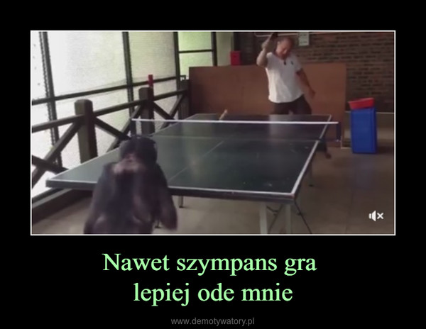 Nawet szympans gra lepiej ode mnie –  