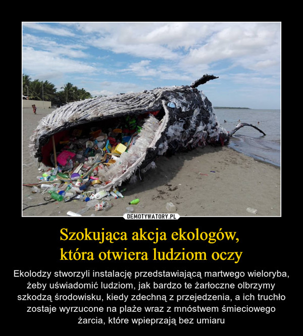 Szokująca akcja ekologów, która otwiera ludziom oczy – Ekolodzy stworzyli instalację przedstawiającą martwego wieloryba, żeby uświadomić ludziom, jak bardzo te żarłoczne olbrzymy szkodzą środowisku, kiedy zdechną z przejedzenia, a ich truchło zostaje wyrzucone na plaże wraz z mnóstwem śmieciowego żarcia, które wpieprzają bez umiaru 