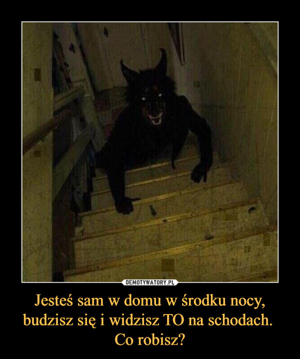 Jesteś sam w domu w środku nocy, budzisz się i widzisz TO na schodach. Co robisz? –  