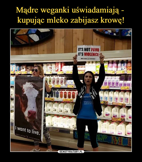 Mądre weganki uświadamiają - 
kupując mleko zabijasz krowę!