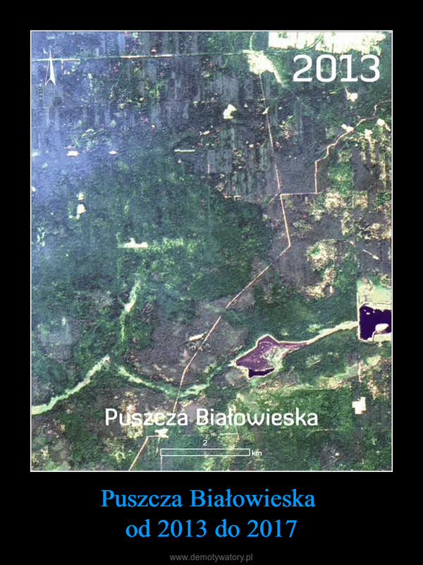Puszcza Białowieska od 2013 do 2017 –  PUSZCZA BIAŁOWIESKA