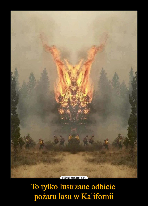 To tylko lustrzane odbicie pożaru lasu w Kalifornii –  