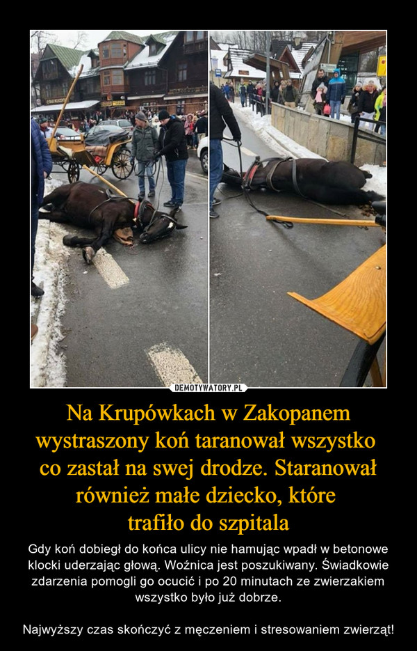 Na Krupówkach w Zakopanem wystraszony koń taranował wszystko 
co zastał na swej drodze. Staranował również małe dziecko, które 
trafiło do szpitala