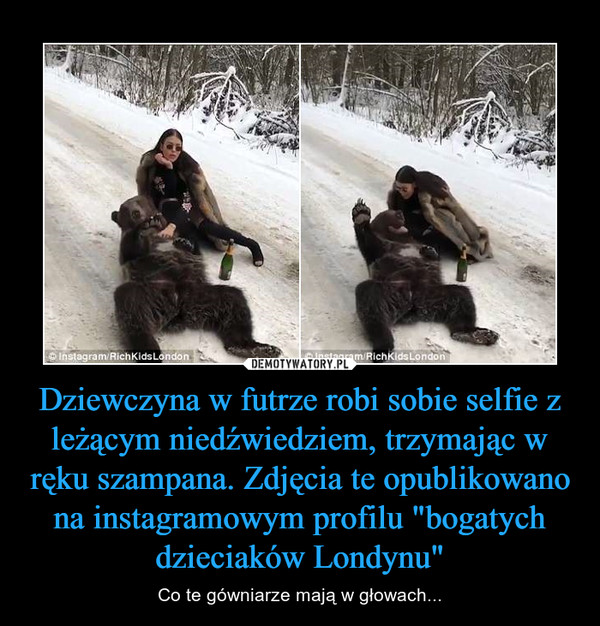 Dziewczyna w futrze robi sobie selfie z leżącym niedźwiedziem, trzymając w ręku szampana. Zdjęcia te opublikowano na instagramowym profilu "bogatych dzieciaków Londynu" – Co te gówniarze mają w głowach... 