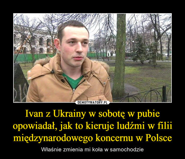 Ivan z Ukrainy w sobotę w pubie opowiadał, jak to kieruje ludźmi w filii międzynarodowego koncernu w Polsce