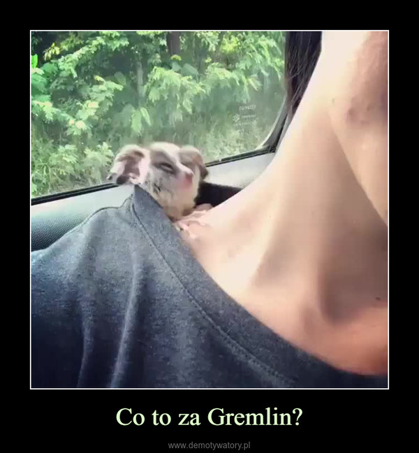 Co to za Gremlin? –  