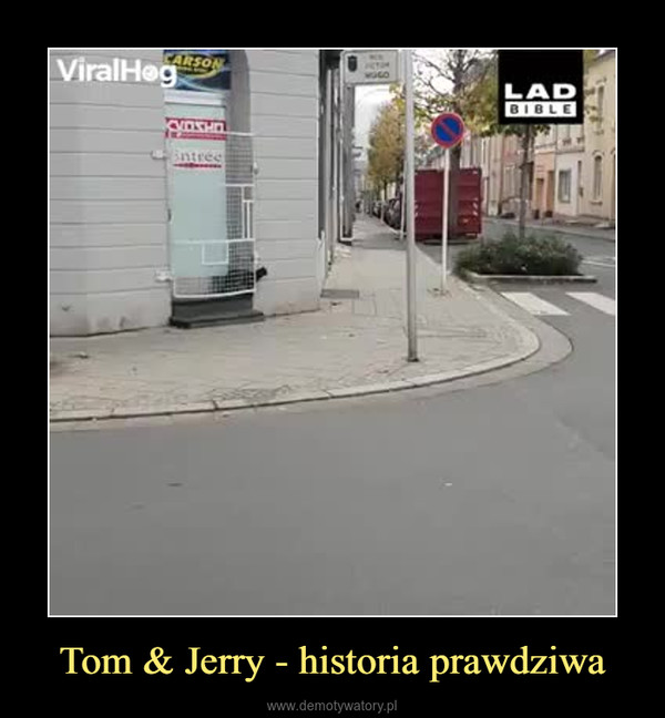 Tom & Jerry - historia prawdziwa –  