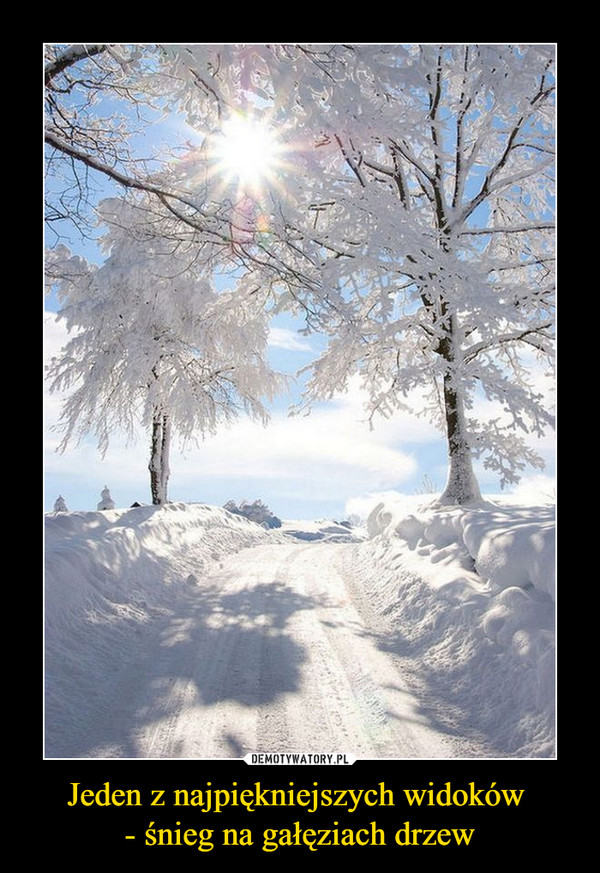 Jeden z najpiękniejszych widoków - śnieg na gałęziach drzew –  