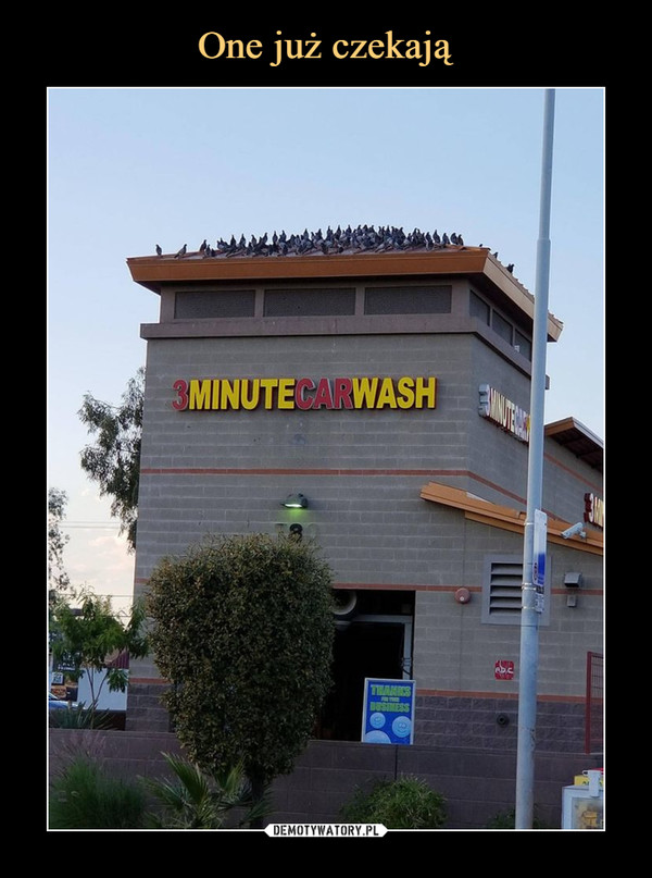  –  3 minute car wash