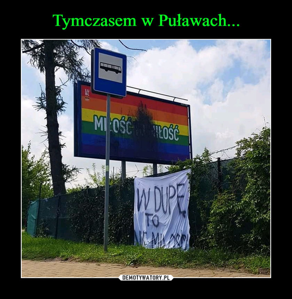 Tymczasem w Puławach...