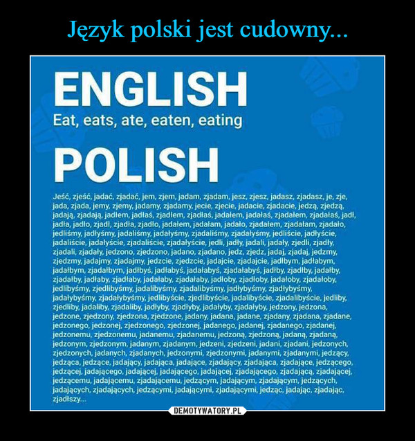 Język polski jest cudowny...