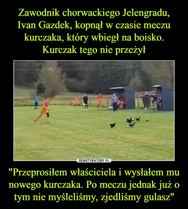 Zawodnik chorwackiego Jelengradu, Ivan Gazdek, kopnął w czasie meczu kurczaka, który wbiegł na boisko. Kurczak tego nie przeżył "Przeprosiłem właściciela i wysłałem mu nowego kurczaka. Po meczu jednak już o tym nie myśleliśmy, zjedliśmy gulasz"