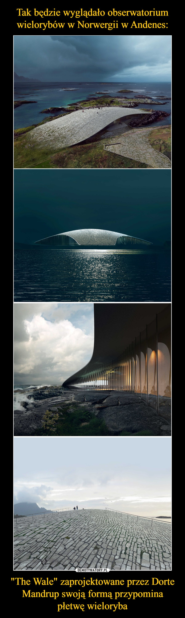 "The Wale" zaprojektowane przez Dorte Mandrup swoją formą przypomina płetwę wieloryba –  