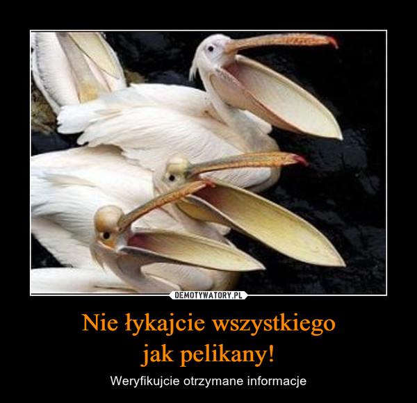 Nie łykajcie wszystkiegojak pelikany! – Weryfikujcie otrzymane informacje 
