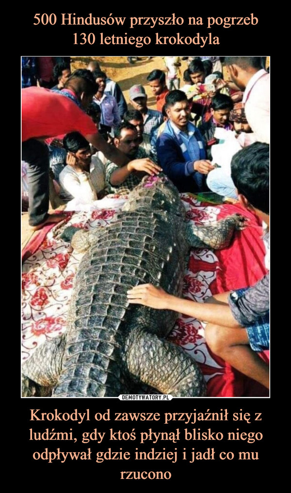 Krokodyl od zawsze przyjaźnił się z ludźmi, gdy ktoś płynął blisko niego odpływał gdzie indziej i jadł co mu rzucono –  