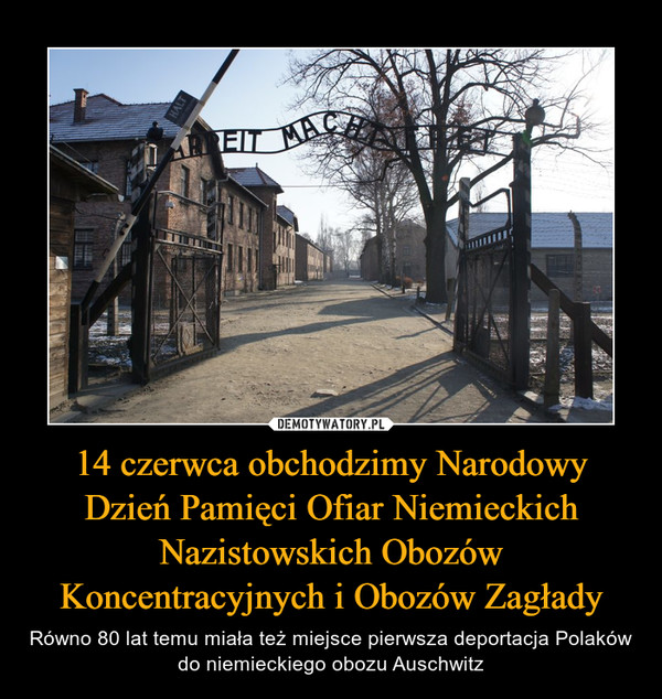 14 czerwca obchodzimy Narodowy Dzień Pamięci Ofiar Niemieckich Nazistowskich Obozów Koncentracyjnych i Obozów Zagłady – Równo 80 lat temu miała też miejsce pierwsza deportacja Polaków do niemieckiego obozu Auschwitz 