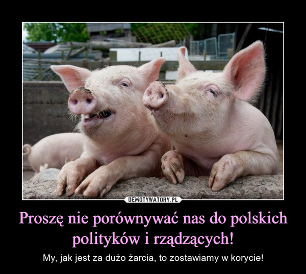 Proszę nie porównywać nas do polskich polityków i rządzących! – My, jak jest za dużo żarcia, to zostawiamy w korycie! 