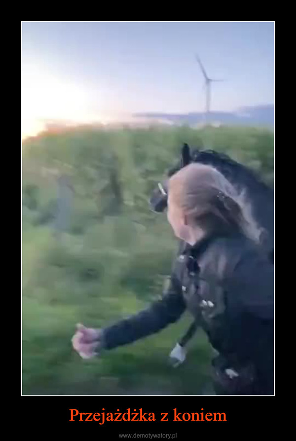 Przejażdżka z koniem –  