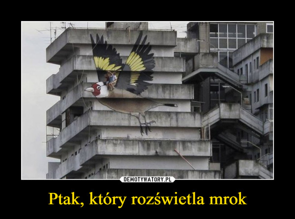 Ptak, który rozświetla mrok –  