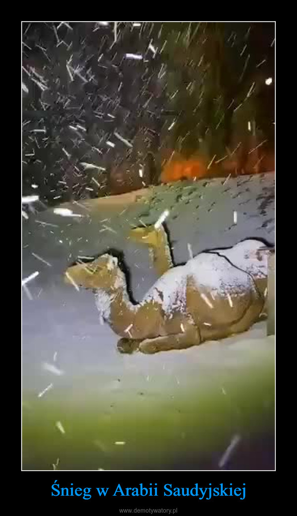 Śnieg w Arabii Saudyjskiej –  