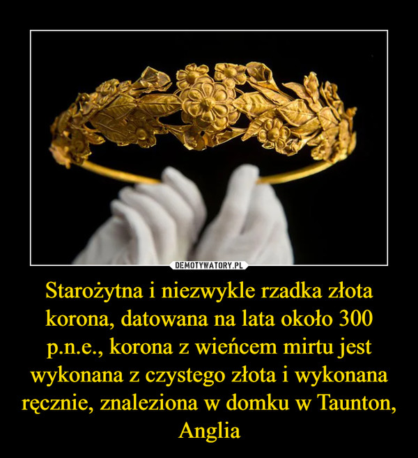 Starożytna i niezwykle rzadka złota korona, datowana na lata około 300 p.n.e., korona z wieńcem mirtu jest wykonana z czystego złota i wykonana ręcznie, znaleziona w domku w Taunton, Anglia –  