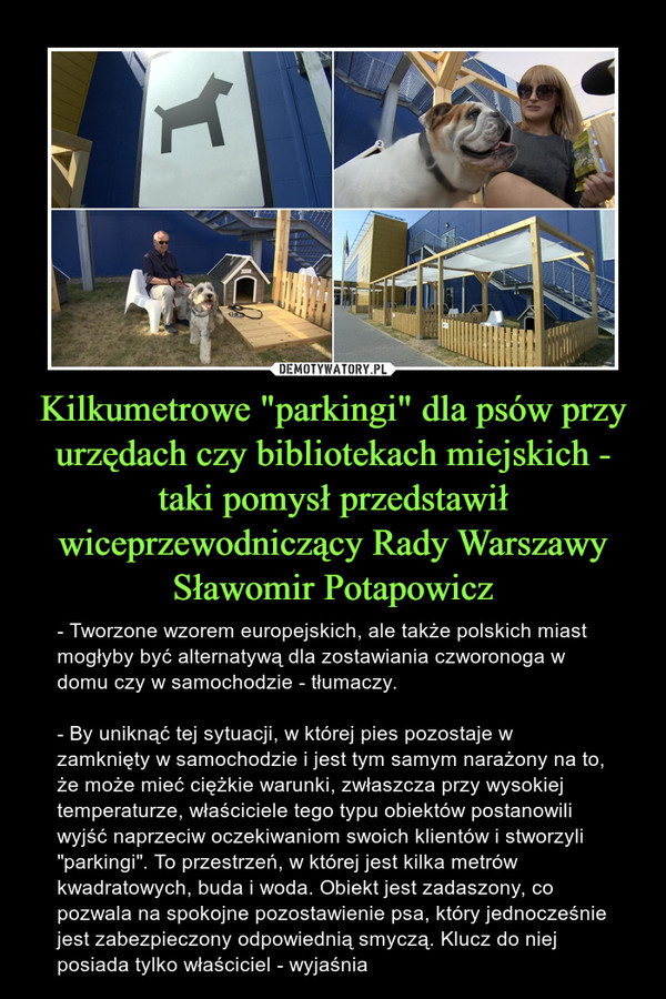 Kilkumetrowe "parkingi" dla psów przy urzędach czy bibliotekach miejskich - taki pomysł przedstawił wiceprzewodniczący Rady Warszawy Sławomir Potapowicz